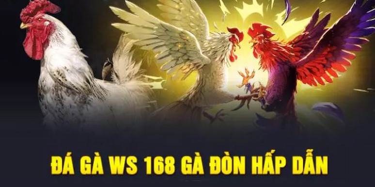 ws168